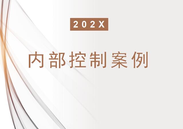 企業內部控制風險案例分析及解決對策（企業內部控制和風險管理案例）