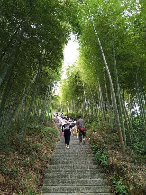 莫干山紅色抗日根據地黨建活動（莫干山有哪些紅色抗日根據地）