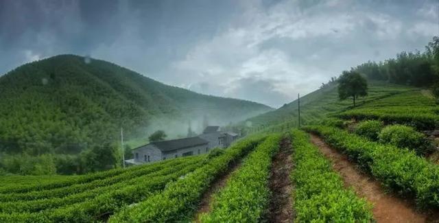 莫干山紅色抗日根據地黨建活動（莫干山有哪些紅色抗日根據地）
