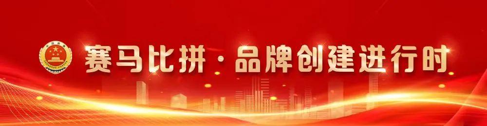 【賽馬比拼·品牌創(chuàng)建進(jìn)行時(shí)】酉陽：“黨建引領(lǐng)+數(shù)字賦能” 構(gòu)建工作池 打造新時(shí)代“紅巖先鋒”變革型組織