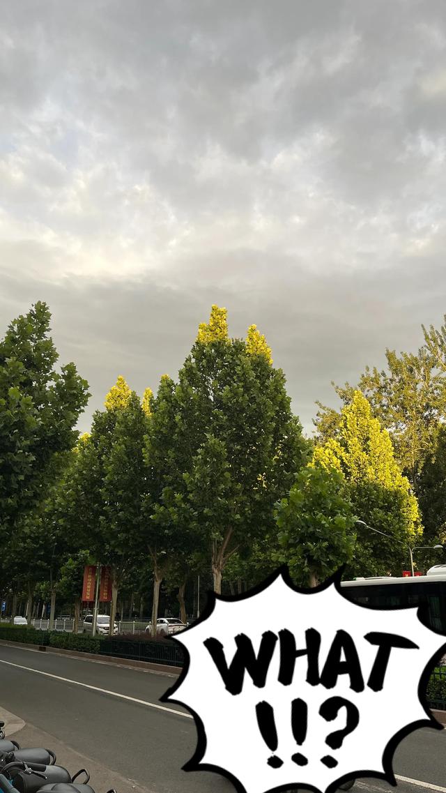 軟件小白到小黑（軟件小白到小黑怎么弄）