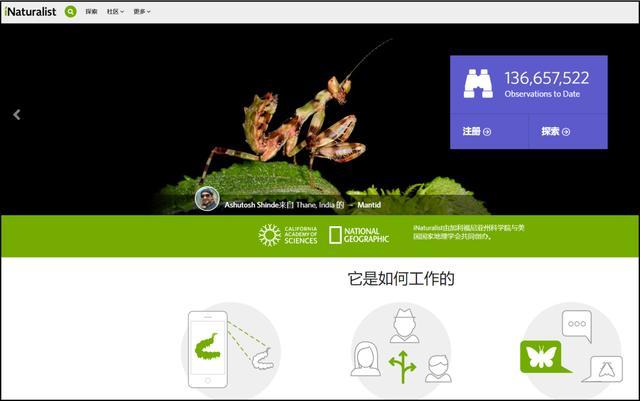 動物識別軟件有哪些-這幾款了解一下（動物識別軟件有哪些-這幾款了解一下）