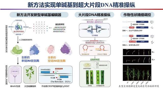 2023年度“中國科學十大進展”發布，主要分布在生命科學等領域（2021年度中國科學十大進展）