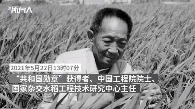 袁隆平背后這些事，值得我們每個人學習！受益終身（袁隆平背后的努力）