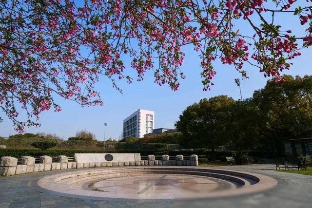 2023年國家科學技術獎提名：通用項目各大高校表現如何？（關于2020年度國家科學技術獎提名工作的通知）