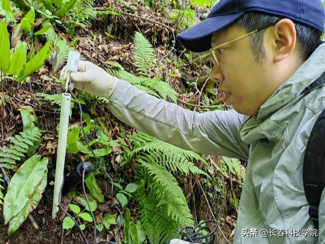 我校長白山野生資源研究院開展長白山區域野生植物資源聯合調研