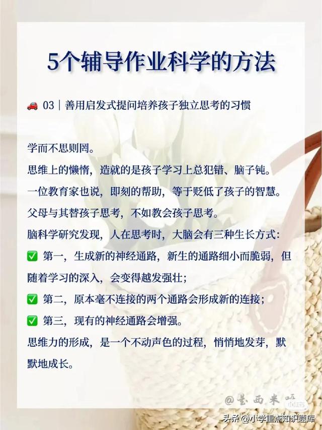 5個輔導作業科學的方法（5個輔導作業科學的方法是什么）
