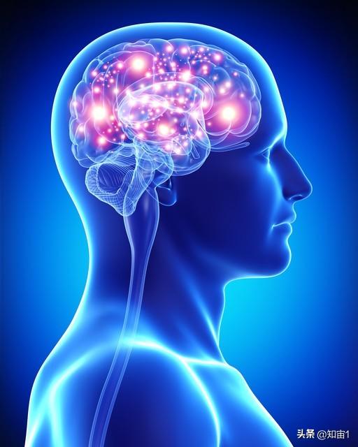探索未知領域：5個最新科學研究成果解析（探索未知的科學）