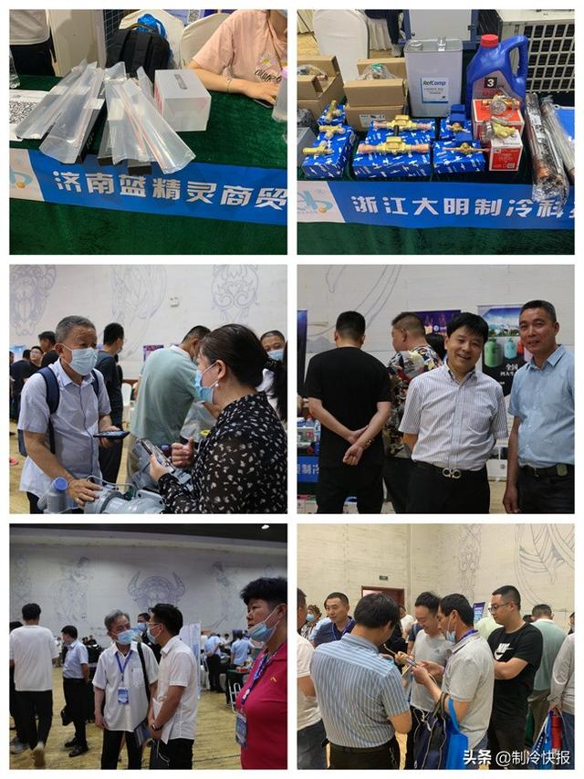 這場制冷盛會在齊魯大地迸發新活力（這場制冷盛會在齊魯大地迸發新活力英文）