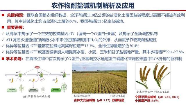 2023年度“中國科學十大進展”發布，主要分布在生命科學等領域（2021年度中國科學十大進展）