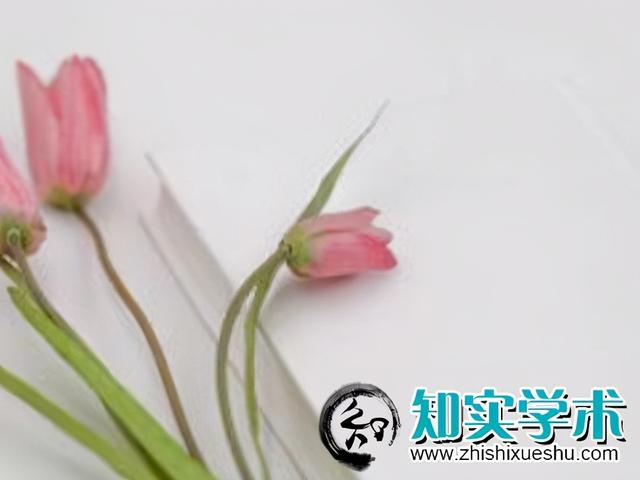 出書相當(dāng)于出論文嗎？參評人是選出書還是出論文（出書算不算學(xué)術(shù)成果）