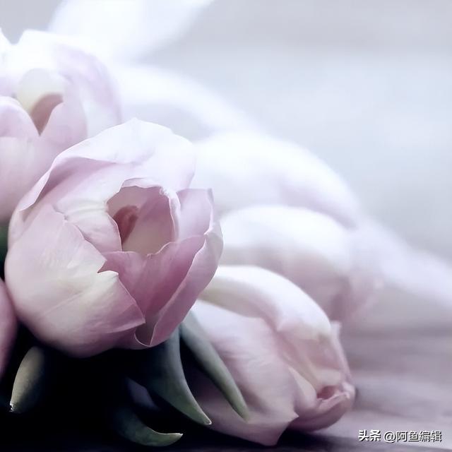 什么是橫向課題，有哪些特征？（什么是橫向課題有哪些特征）