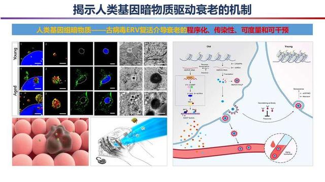 2023年度“中國科學十大進展”發布，主要分布在生命科學等領域（2021年度中國科學十大進展）