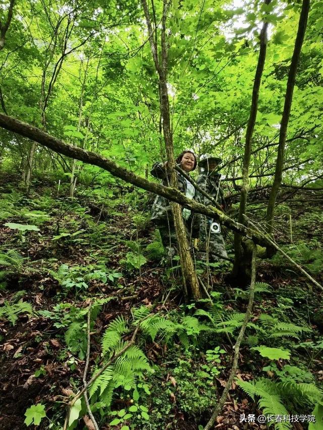 我校長白山野生資源研究院開展長白山區域野生植物資源聯合調研