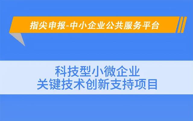 科技型小微企業關鍵技術創新項目申報材料（科技型小微企業關鍵技術創新項目申報材料有哪些）