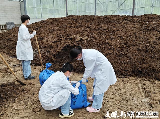 從“博士村長”到“博士工程師”：學子“科研+實踐”寫產業論文