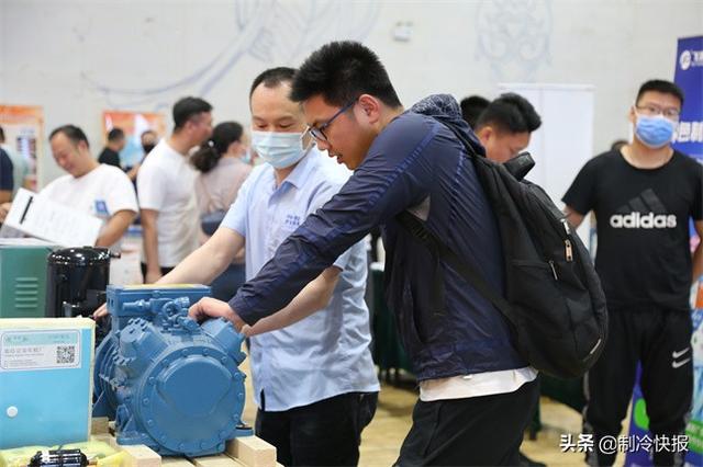 這場制冷盛會在齊魯大地迸發新活力（這場制冷盛會在齊魯大地迸發新活力英文）