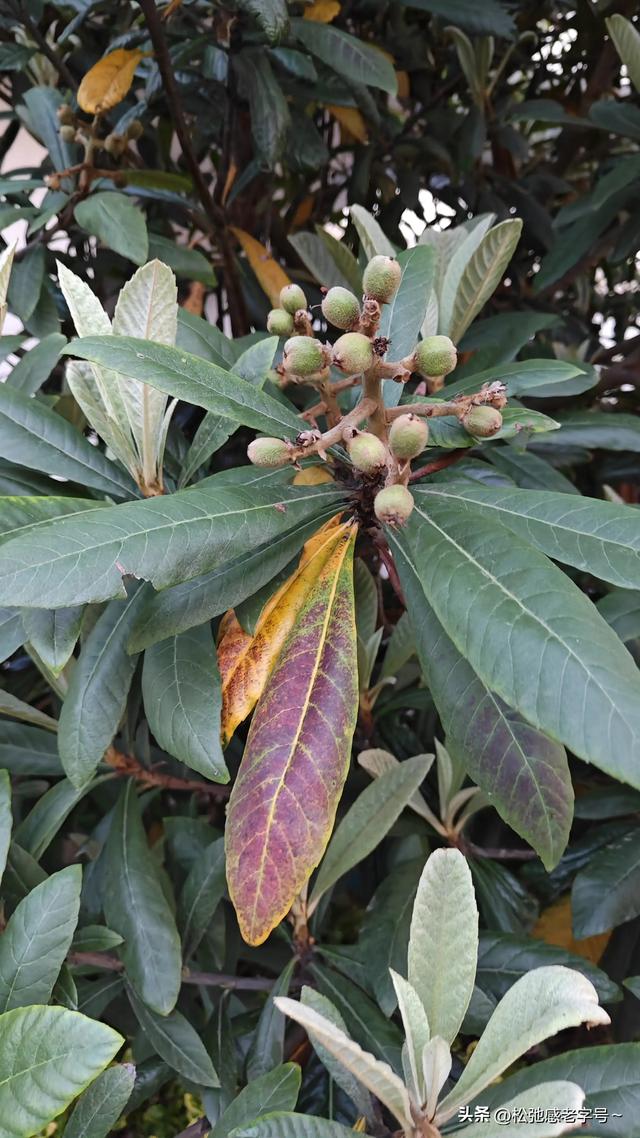 正確認識冒險以后，你會有所收獲！（正確認識冒險以后,你會有所收獲英語）