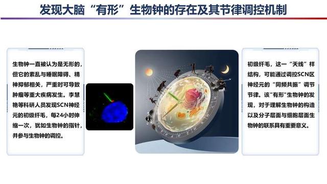 2023年度“中國科學十大進展”發布，主要分布在生命科學等領域（2021年度中國科學十大進展）