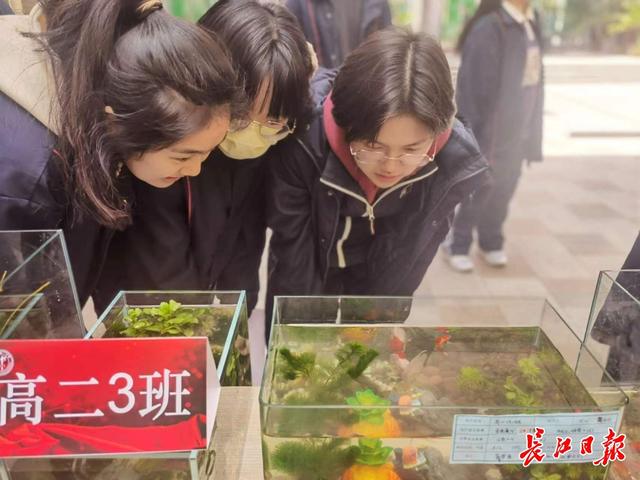 做晶胞結構模型、打造生態魚缸，高中生的學科特色成果展很吸睛