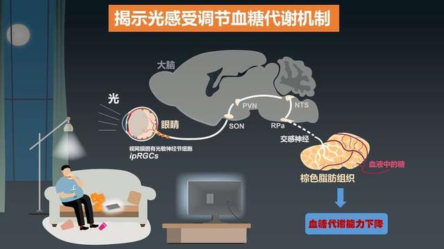 2023年度“中國科學十大進展”發布，主要分布在生命科學等領域（2021年度中國科學十大進展）