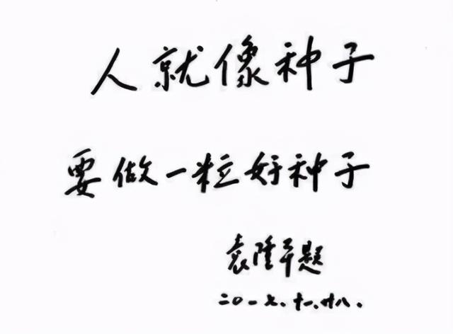 袁隆平背后這些事，值得我們每個人學習！受益終身（袁隆平背后的努力）