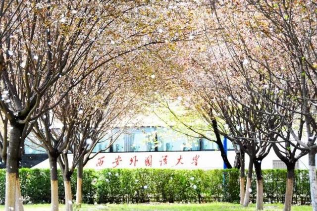 在一份重要排名中，西安外國語大學(xué)這個專業(yè)全國第1（西安外國語大學(xué)王牌專業(yè)排名）