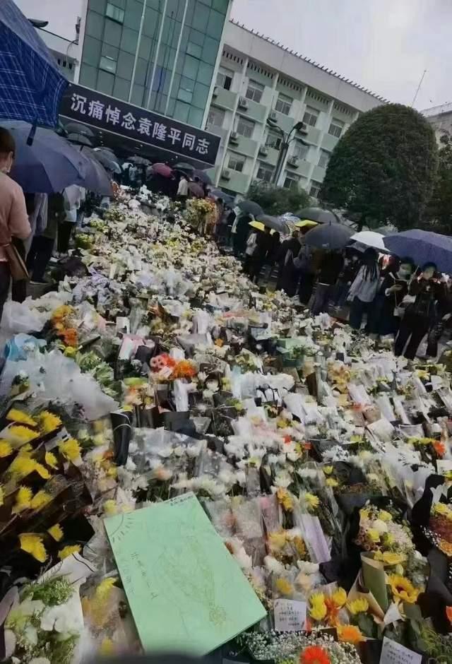 袁隆平背后這些事，值得我們每個人學習！受益終身（袁隆平背后的努力）