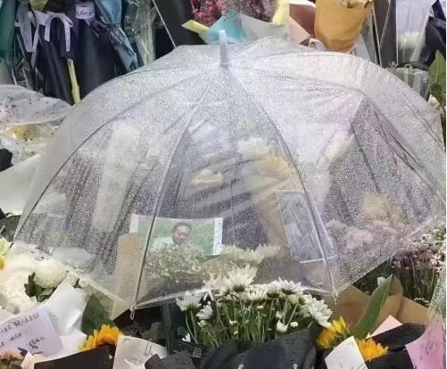 袁隆平背后這些事，值得我們每個人學習！受益終身（袁隆平背后的努力）