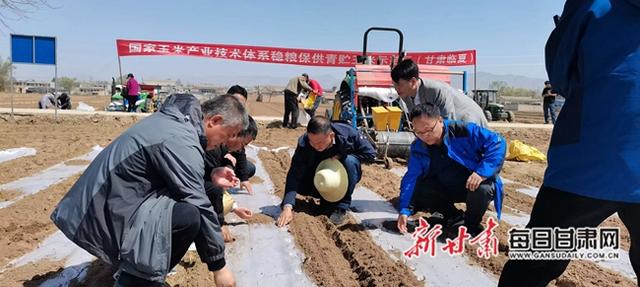 甘肅省農(nóng)科院參與項(xiàng)目榮獲2020年度國家科學(xué)技術(shù)進(jìn)步獎(jiǎng)（甘肅省農(nóng)業(yè)科研杰出人才）
