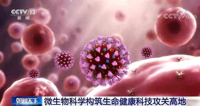 勇攀科技高峰 創新決勝未來 - 微生物科學構筑生命健康科技攻關高地