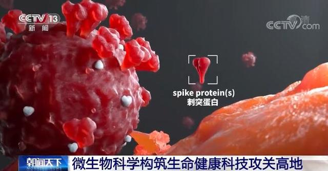 勇攀科技高峰 創新決勝未來 - 微生物科學構筑生命健康科技攻關高地