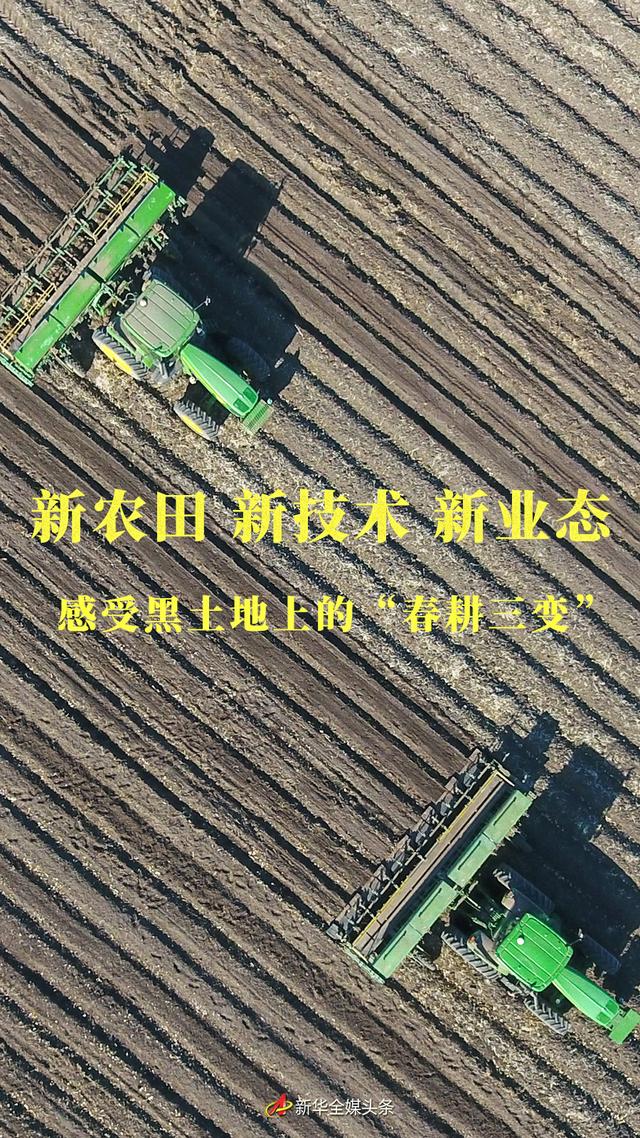 新農田 新技術 新業態——感受黑土地上的“春耕三變”（農業春耕生產新聞）