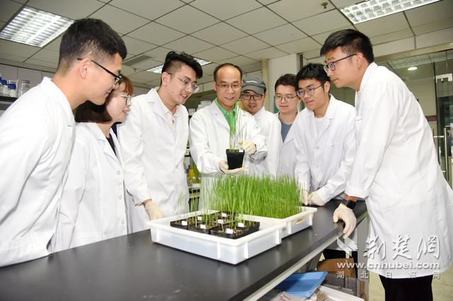 Nature雜志發表華中農業大學李國田教授團隊研究成果（李國田 華中農業大學）
