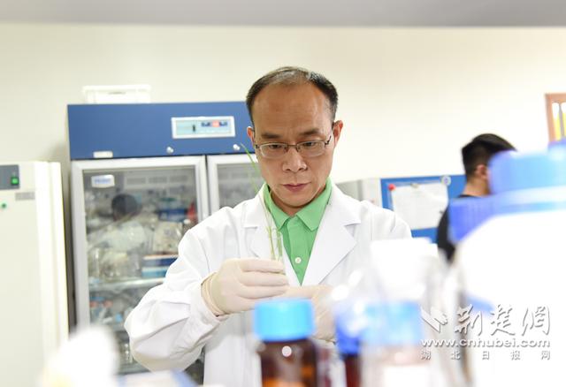 Nature雜志發表華中農業大學李國田教授團隊研究成果（李國田 華中農業大學）