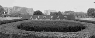 武漢理工大學法學與人文社會學院：探索城鄉社區治理“1+N”多元路徑
