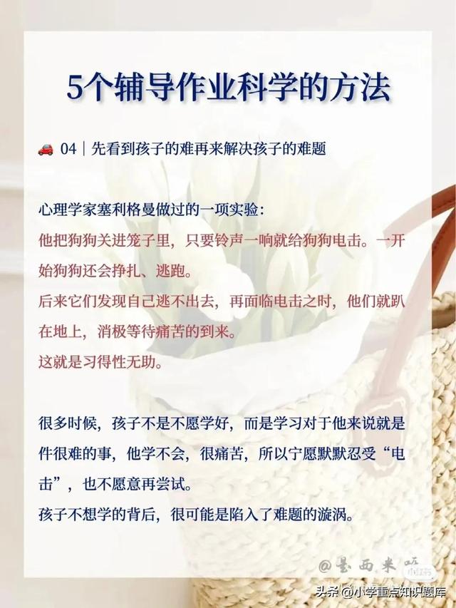 5個輔導作業科學的方法（5個輔導作業科學的方法是什么）