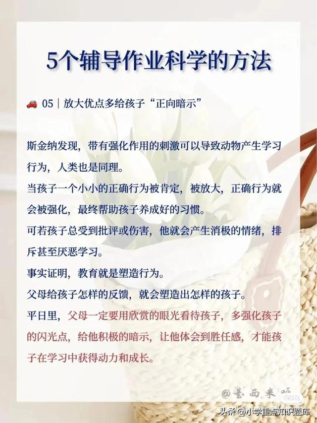 5個輔導作業科學的方法（5個輔導作業科學的方法是什么）