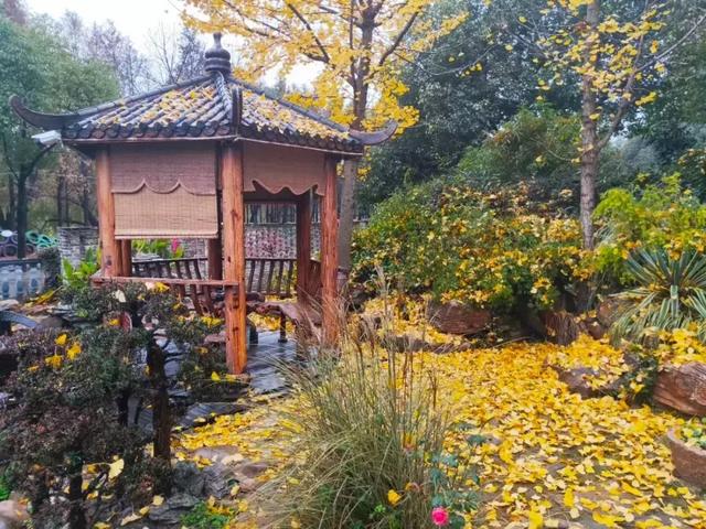 嘉興七星鎮(zhèn)七星花園景觀魚池順利開工！（嘉興七星鎮(zhèn)七星花園景觀魚池順利開工了嗎）