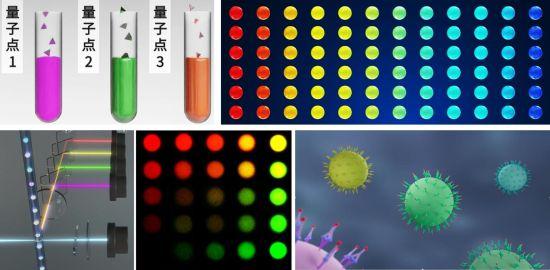 上海交大校企合作研發量子點液態生物芯片多指標體外檢測系統（上海交通大學量子能量芯片多少錢）