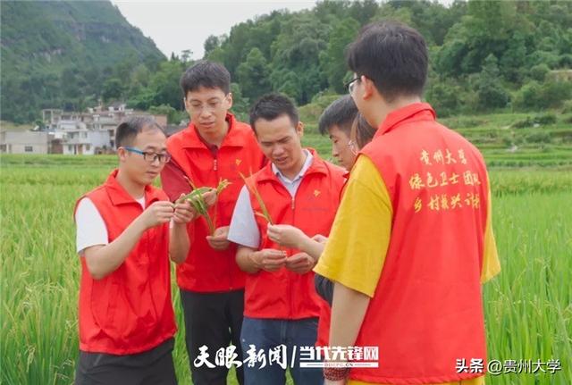 從“博士村長”到“博士工程師”：學子“科研+實踐”寫產業論文
