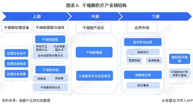 預(yù)見2022：《2022年中國干細(xì)胞醫(yī)療產(chǎn)業(yè)全景圖譜》(附發(fā)展前景等)（中國干細(xì)胞市場情況）