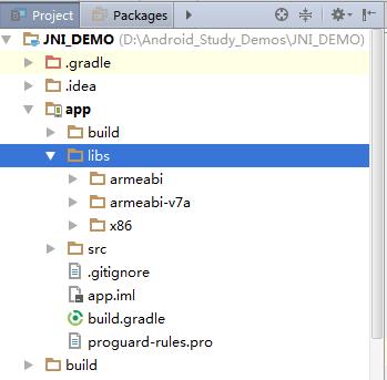 Android Studio JNI 開發簡單案例（android studio開發java）