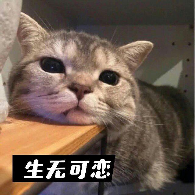 人事管理小故事之我的“白馬王子”