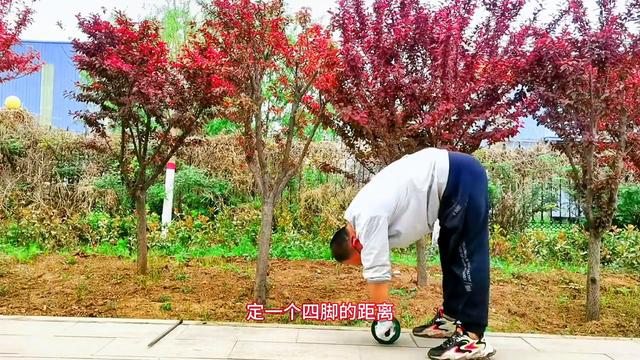 解鎖健腹輪鍛煉進行中，跪姿進階站姿，快速燃脂瘦肚子（健腹輪跪姿標準動作）