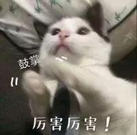 每個開發者都應該知道的7個React工具庫（react 工具）