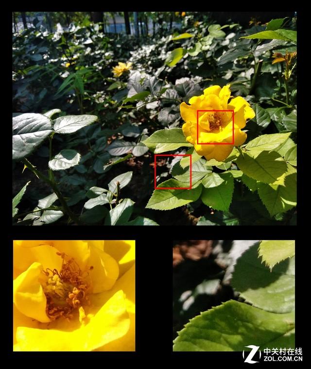 開啟裸眼3D視界 觀3D V5手機全面評測（開啟裸眼3d視界 觀3d v5手機全面評測在線觀看）