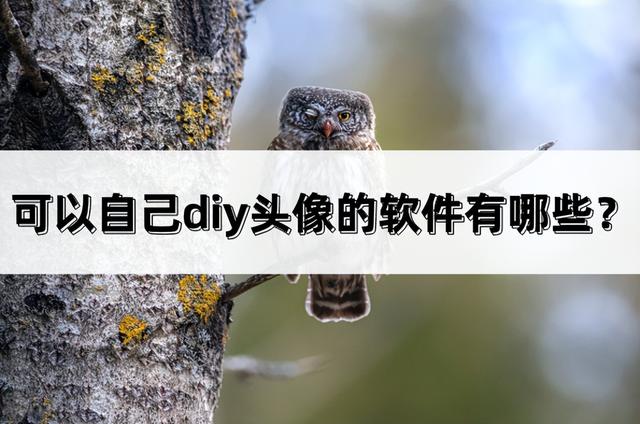 可以自己diy頭像的軟件有哪些？這款軟件值得擁有（可以自己diy頭像的軟件有哪些-這款軟件值得擁有嗎）