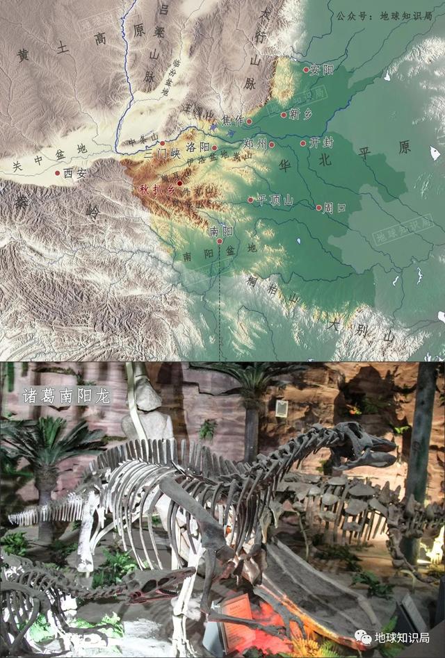 河南發現大寶貝，真中！- 地球知識局（河南發現特大）