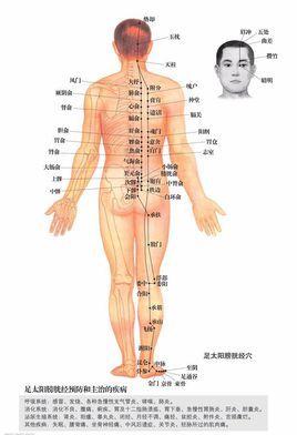 中國十大傳統醫藥非遺項目（傳統醫藥類非遺）